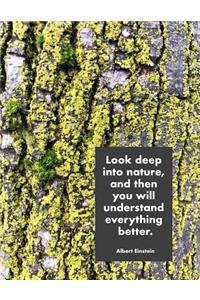 Look Deep Into Nature, and Then You Will Understand Everything Better. Albert Einstein