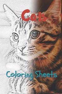 Cat Coloring Sheets