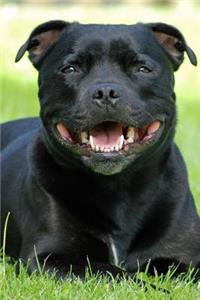 Happy Staffordshire Bull Terrier Dog Journal
