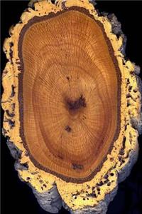 Cross Section of a Cork Oak Tree Journal