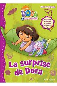 La Surprise de Dora