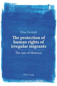 Protection of Human Rights of Irregular Migrants