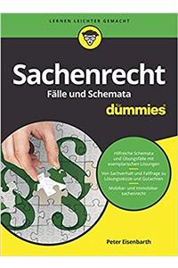 Sachenrecht Falle und Schemata fur Dummies