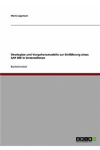 Strategien und Vorgehensmodelle zur Einführung eines SAP BW in Unternehmen