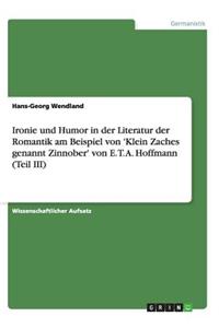 Ironie und Humor in der Literatur der Romantik am Beispiel von 'Klein Zaches genannt Zinnober' von E. T. A. Hoffmann (Teil III)