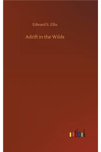 Adrift in the Wilds