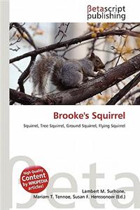 Brooke's Squirrel