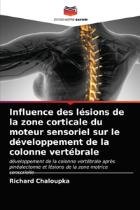 Influence des lésions de la zone corticale du moteur sensoriel sur le développement de la colonne vertébrale