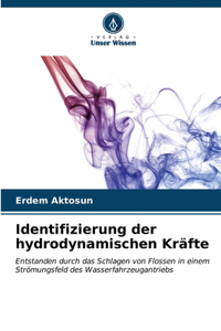 Identifizierung der hydrodynamischen Kräfte
