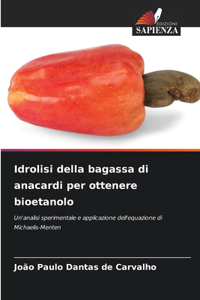 Idrolisi della bagassa di anacardi per ottenere bioetanolo