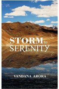 Storm to Serenity