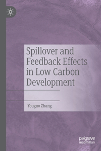 Spillover and Feedback Effects in Low Carbon Development