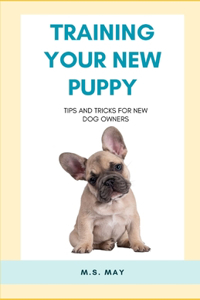Training Your New Puppy