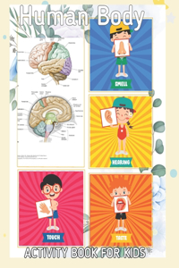 Human Body Activity Book For Kids