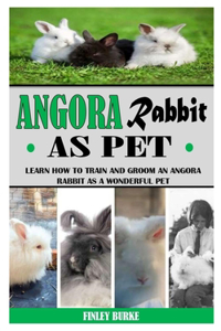 Angora Rabbit as Pet