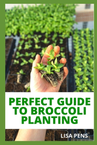 Perfect Guide to Broccoli Planting