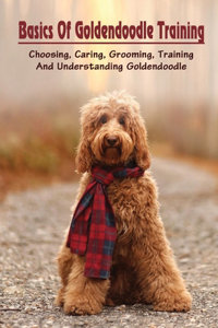 Basics Of Goldendoodle Training