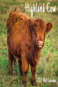 Highland Cow 2021 Wall Calendar