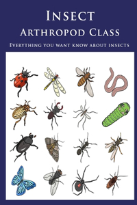Insect - Arthropod Class