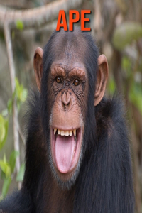 Ape: Incredible Pictures and Fun Facts about Ape