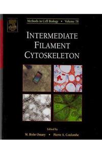 Intermediate Filament Cytoskeleton