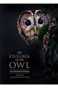Enigma of the Owl