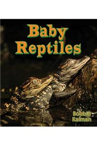 Baby Reptiles