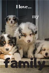 I Love my Family
