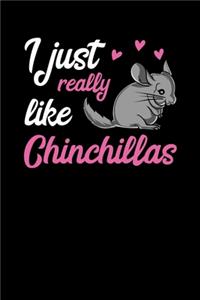 I Just Really Like Chinchillas