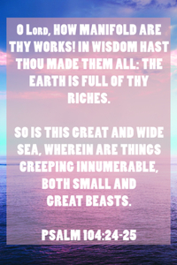 General Worship Bulletin: Thy Works (Package of 100)