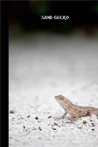 Sand Gecko
