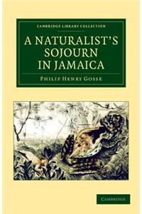 A Naturalist's Sojourn in Jamaica