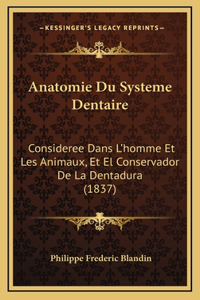 Anatomie Du Systeme Dentaire