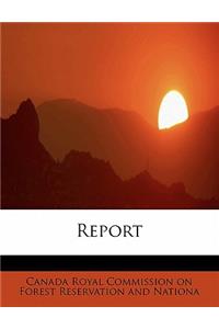 Report