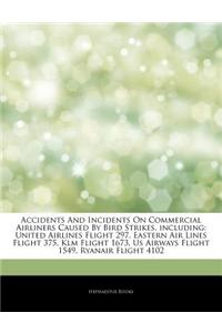 Articles on Accidents and Incidents on Commercial Airliners Caused by Bird Strikes, Including