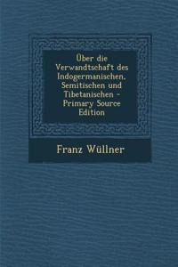 Uber Die Verwandtschaft Des Indogermanischen, Semitischen Und Tibetanischen - Primary Source Edition