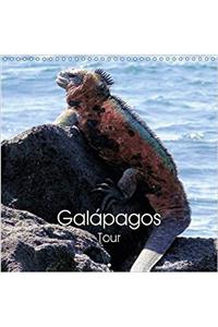 Galapagos Tour 2017