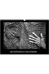 Des Elephants Et Des Hommes 2018