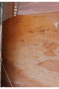 How Many Summers We Have Left