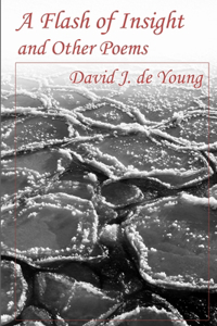 Flash of Insight and Other Poems