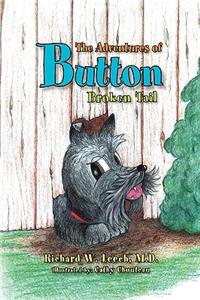 Adventures of Button