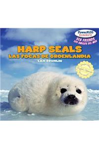 Harp Seals / Las Focas de Groenlandia