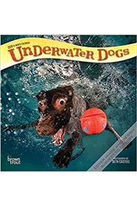 Underwater Dogs 2018 Calendar
