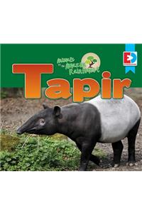 Animals of the Amazon Rainforest: Tapir