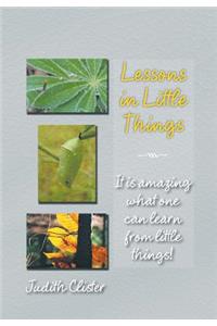 Lessons in Little Things