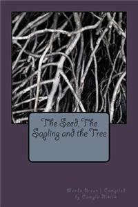 Seed, The Sapling and the Tree