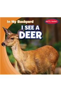 I See a Deer