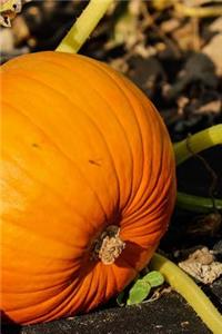 Pumpkin on the Vine Journal
