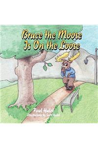 Bruce the Moose Is on the Loose
