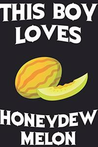 This Boy Loves Honeydew Melon Notebook